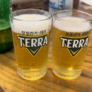 카페다생