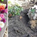 박영숙농장 이미지