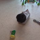 옹알옹알 이미지