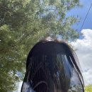 딩동댕 펫살롱 이미지