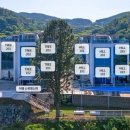 소나무파인트리(PINE TREE) 이미지