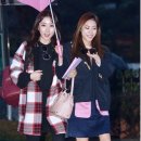 러블리독스 이미지