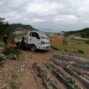 김동윤농장 이미지