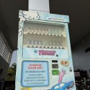 용산-375 | 엄마랑 경주 1박2일 - 용산회식당, 국립경주박물관, 엘로우, 겹벚꽃, 황리단길, 흥부막창, 황남빵, 외바우