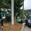 온양4동 온천대로 이미지