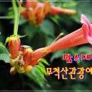 관광예술원 이미지