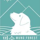 댕댕이 운동장 이미지