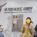 정도태권도체육관 | 송파성인태권도 국기원 승단심사 후기 (feat. 륜성인태권도, 담미온 수육국밥)