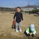 샘솔어린이집 이미지