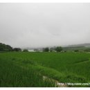 다복민박 이미지