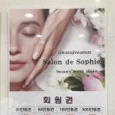 살롱드소피 - 142381 | 살롱드소피