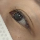 지에스25초전청구점 | [진주속눈썹펌/초전동 속눈썹 펌] 속눈썹펌 진주 1등 초전동 진리뷰티