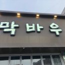 막바우