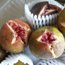 봉래농장 이미지