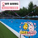 일영 | 비 오는 날 더 좋았던 양주 수영장, 일영랜드 솔직 후기