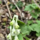 진범 농장 이미지