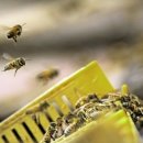 오색농장 이미지