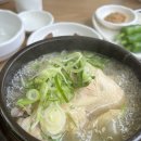 스타벅스 다대포DT점 | 부산 다대포 현지인이 추천하는 다대동삼계탕 맛집 백두봉 삼계탕 솔직 후기