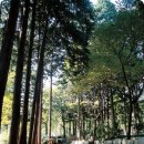 보라민박 이미지