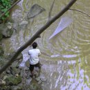 성국목장 이미지