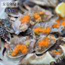 오징어당