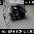 강화켄넬 이미지