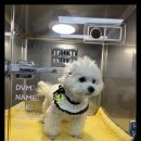 미소로 동물병원 이미지