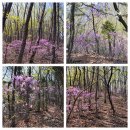 보은삼거리 이미지