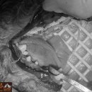 온리동물병원 이미지