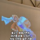 조이블루하우스 이미지