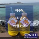 블루베리엔터테인먼트(유) | 애월 카페 추천 리치 망고 제주도 여행 중 꼭 들려야 할 곳 뷰 최고