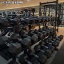바디플렉스짐 송정역점 | 공항시장역 헬스장 추천 바디플렉스짐 송정역점 / 월간 보험소식지