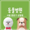 중랑차동물병원 이미지