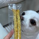 몽몽야옹 이미지