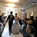 아모르플라워 - 양평군 돗내미길 57 | 아모르플라워