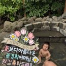 용눈이펜션 | 제주도 감성숙소 독채펜션 내돈내산 후기(자카란다제주)