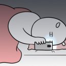 오쏘이