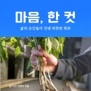 디카시 북 만들기 | AI로 쓰고, 부르고, 출간까지! 10기 온라인 수익화 과정 4주차 생생 후기