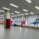 용인대능동태권도 이미지