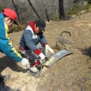 일봉농장 이미지