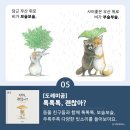 쏙쏙북스