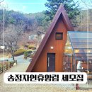 송정자연휴양림 | 대구 아기랑 가볼만한곳 / 송정자연휴양림 세모집 숲속의집 예약과 이용 후기