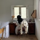 부산 광안리숙소 앙티브의 한조각을 그대로 옮겨둔, 광안리 감성숙소 헬멧 피스오브앙티브 piece of antibe