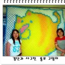 뚱보 고양이 이미지