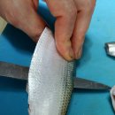 독천낭주골 이미지