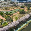 유림-1024 이미지