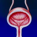 도안동물병원 이미지