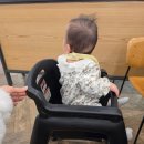 용산-243 | 243일-250일: 아빠 육아휴직 3주차 | 봄맞이 매일 외출 | 협찬 4개