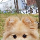 냠냠 - 마포구 모래내로7길 89 | 냠냠