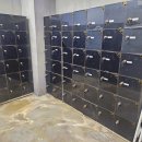 웰니스피티스튜디오 이미지